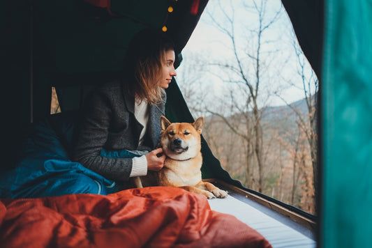 Woman and dog handing out in roof top tent