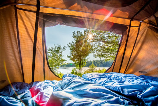 Gorgeous view from the inside of a roof top tent